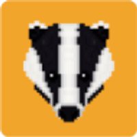 Badger Infrastructure Solutions Ltd
