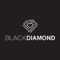 Black Diamond Group Ltd