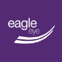 Eagle Eye Solutions Group PLC