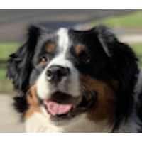 Richter Gedeon Vegyeszeti Gyar Nyrt