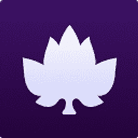 Maple Leaf Cement Factory Ltd