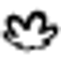 Natura Cosmeticos SA