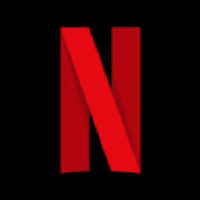 Netflix Inc