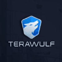 Terawulf Inc